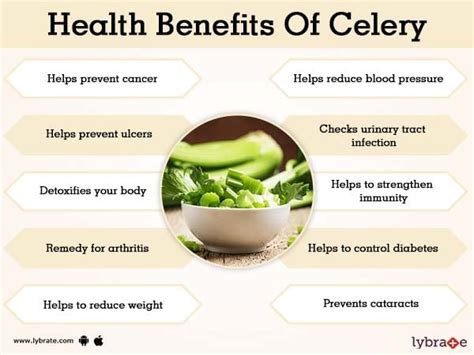 Celery Root For Erectile Dysfunction .